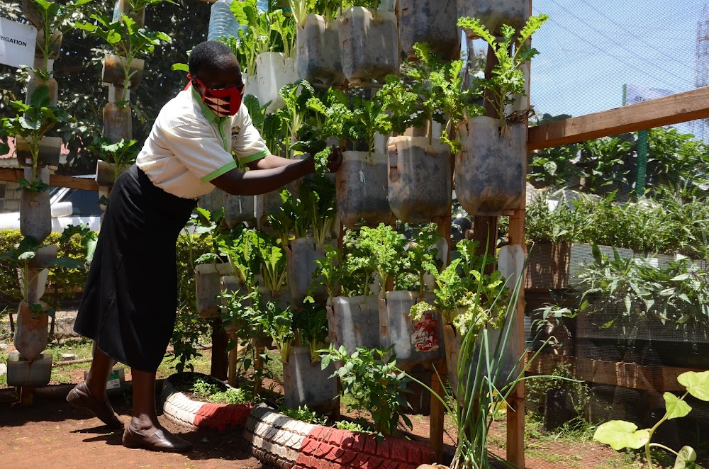 Woman practising vertical farming in africa