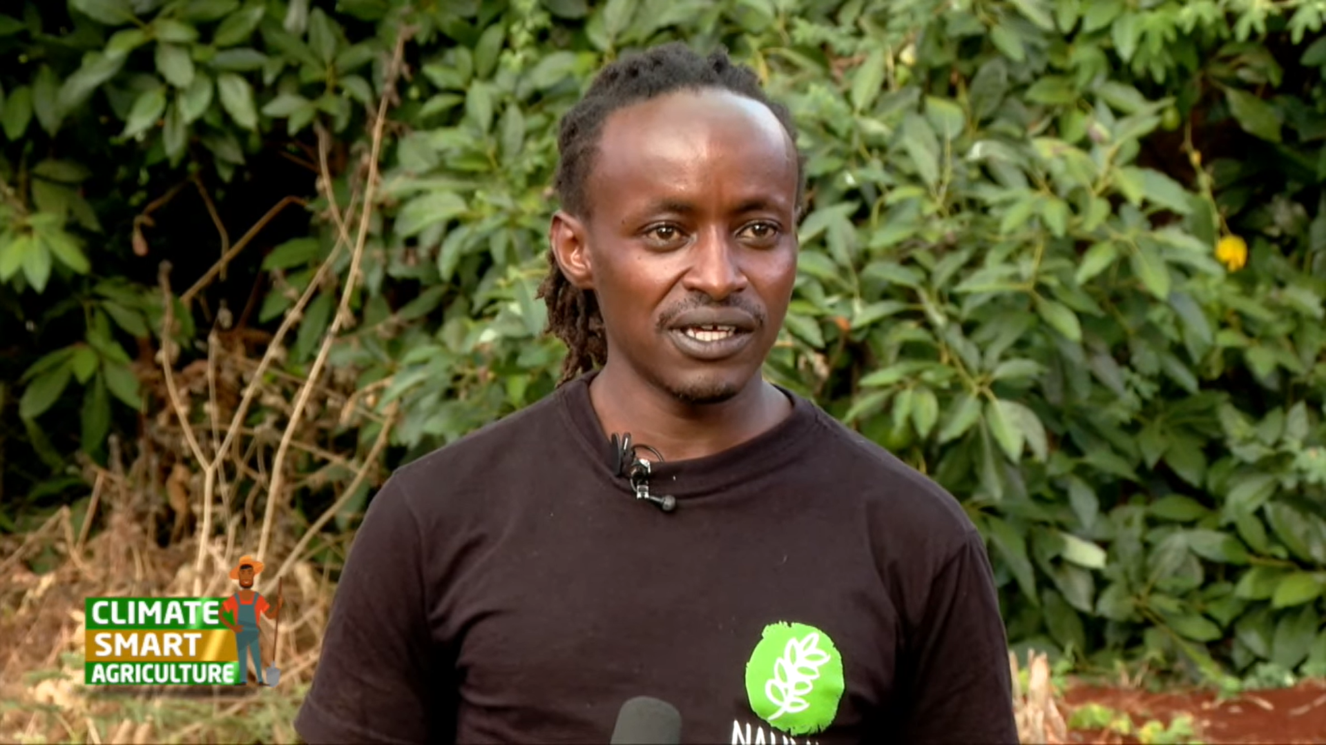 Interview of Nalima CEO Derrick Muriithi on his farm